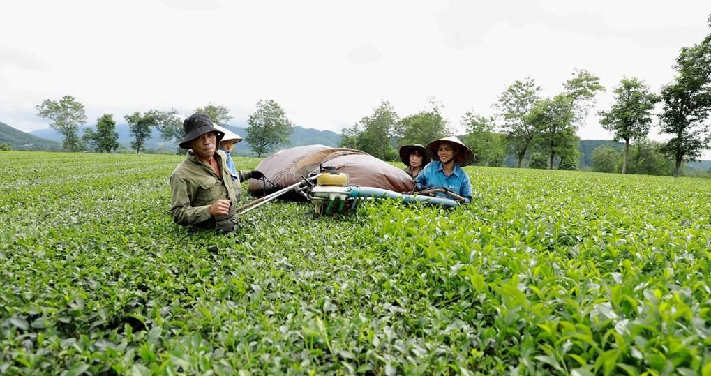 Phú Thọ thúc đẩy chuyển đổi số trong sản xuất nông nghiệp