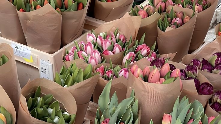 Tử vi vòng quay công nghệ ngày 10/10/2025: Tuổi Dần mâu thuẫn quan điểm, tuổi Tuất gặp nhiều lợi thế Tử vi vòng quay công nghệ ngày 10/10/2025: Tuổi Dần mâu thuẫn quan điểm, tuổi Tuất gặp nhiều lợi thế