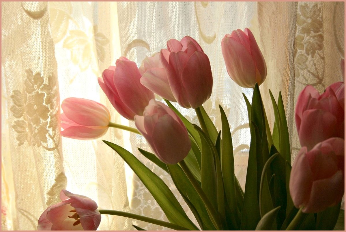 Tử vi vòng quay công nghệ ngày 13/10/2025: Tuổi Dần không may mắn, tuổi Mão tín hiệu tích cực Tử vi vòng quay công nghệ ngày 13/10/2025: Tuổi Dần không may mắn, tuổi Mão tín hiệu tích cực