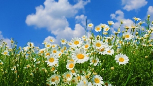 Tử vi vòng quay công nghệ ngày 14/10/2025: Tuổi Tý nên đặc biệt thận trọng trong công việc, Tuổi Dần gặp nhiều thuận lợi