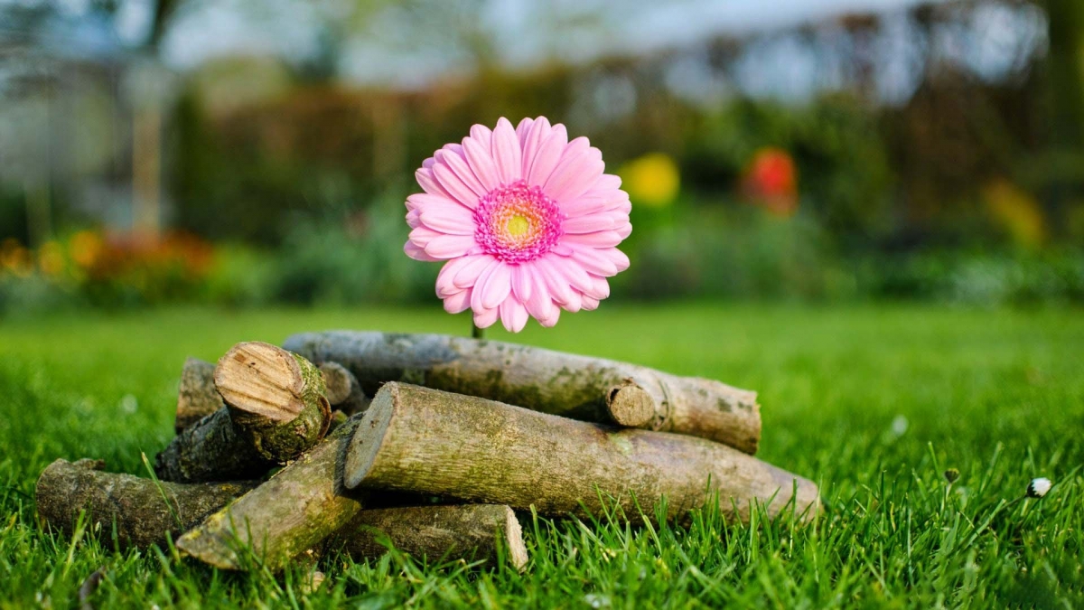 Tử vi vòng quay công nghệ ngày 14/10/2025: Tuổi Tý nên đặc biệt thận trọng trong công việc, Tuổi Dần gặp nhiều thuận lợi Tử vi vòng quay công nghệ ngày 14/10/2025: Tuổi Tý nên đặc biệt thận trọng trong công việc, Tuổi Dần gặp nhiều thuận lợi