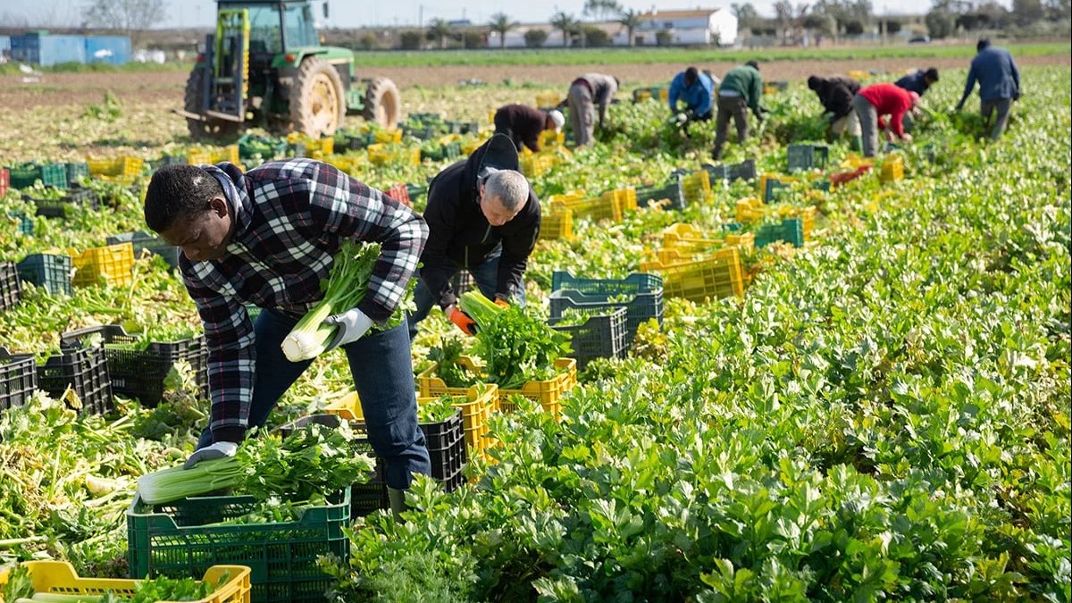 New Zealand nỗ lực giảm phát thải trong sản xuất nông nghiệp