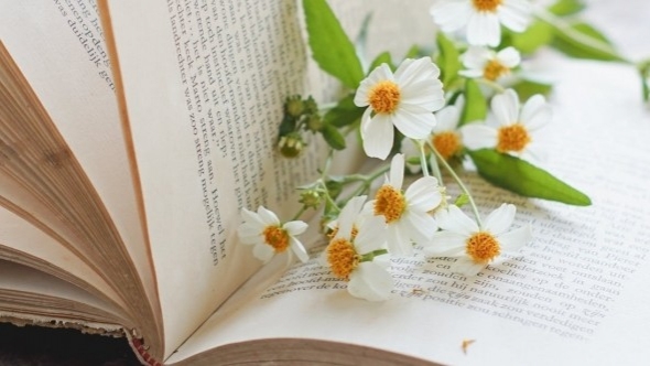 Tử vi vòng quay công nghệ ngày 19/10/2025: Tuổi Tý gặp nhiều chuyện đau đầu, Tuổi Tỵ có quý nhân trợ giúp