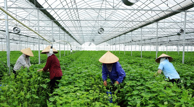 Đồng Nai: Thúc đẩy canh tác nông nghiệp sinh thái, bảo vệ môi trường nông thôn