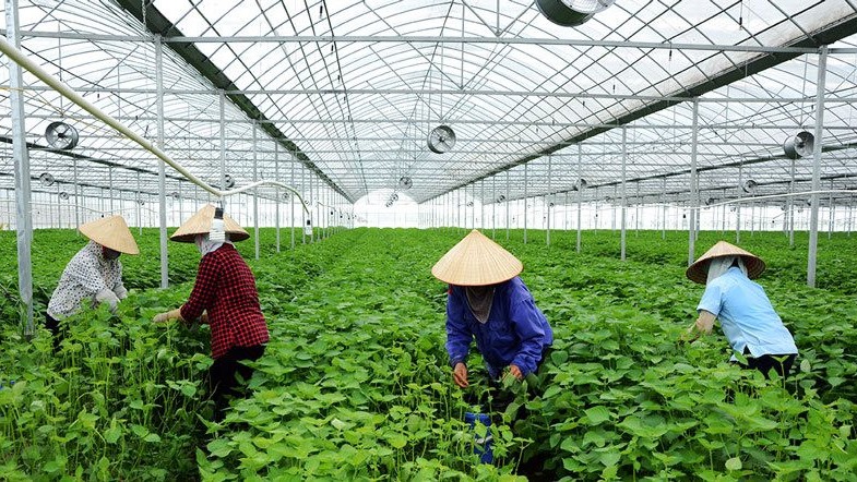 Đồng Nai: Thúc đẩy canh tác nông nghiệp sinh thái, bảo vệ môi trường nông thôn