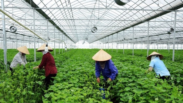 Đồng Nai: Thúc đẩy canh tác nông nghiệp sinh thái, bảo vệ môi trường nông thôn