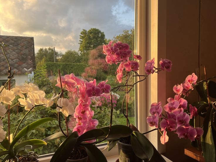 Tử vi vòng quay công nghệ ngày 21/10/2025: Tuổi Hợi dễ căng thẳng, tuổi Dần vận tài lộc hanh thông Tử vi vòng quay công nghệ ngày 21/10/2025: Tuổi Hợi dễ căng thẳng, tuổi Dần vận tài lộc hanh thông