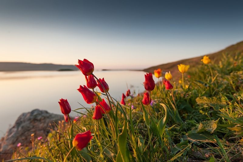 Tử vi vòng quay công nghệ ngày 23/10/2025: Tuổi Dần trắc trở, tuổi Thìn hanh thông Tử vi vòng quay công nghệ ngày 23/10/2025: Tuổi Dần trắc trở, tuổi Thìn hanh thông