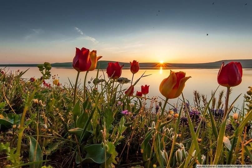 Tử vi vòng quay công nghệ ngày 23/10/2025: Tuổi Dần trắc trở, tuổi Thìn hanh thông Tử vi vòng quay công nghệ ngày 23/10/2025: Tuổi Dần trắc trở, tuổi Thìn hanh thông