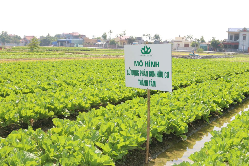 Lâm Đồng: Xây dựng nền nông nghiệp bền vững gắn với bảo vệ môi trường Lâm Đồng: Xây dựng nền nông nghiệp bền vững gắn với bảo vệ môi trường