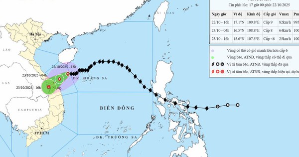 Thủ tướng chỉ đạo tập trung phòng, tránh, ứng phó mưa lũ, ngập lụt tại khu vực Trung Trung Bộ