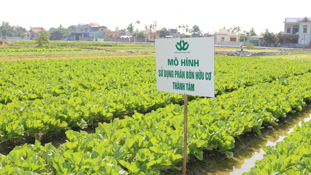 Lâm Đồng: Xây dựng nền nông nghiệp bền vững gắn với bảo vệ môi trường