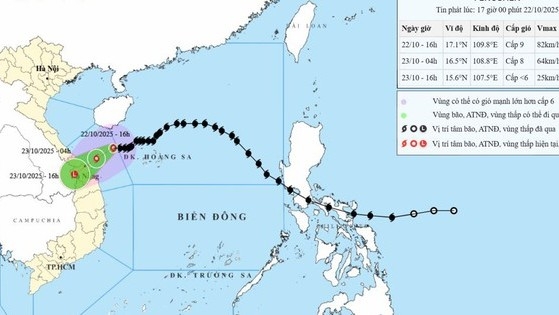 Thủ tướng chỉ đạo tập trung phòng, tránh, ứng phó mưa lũ, ngập lụt tại khu vực Trung Trung Bộ