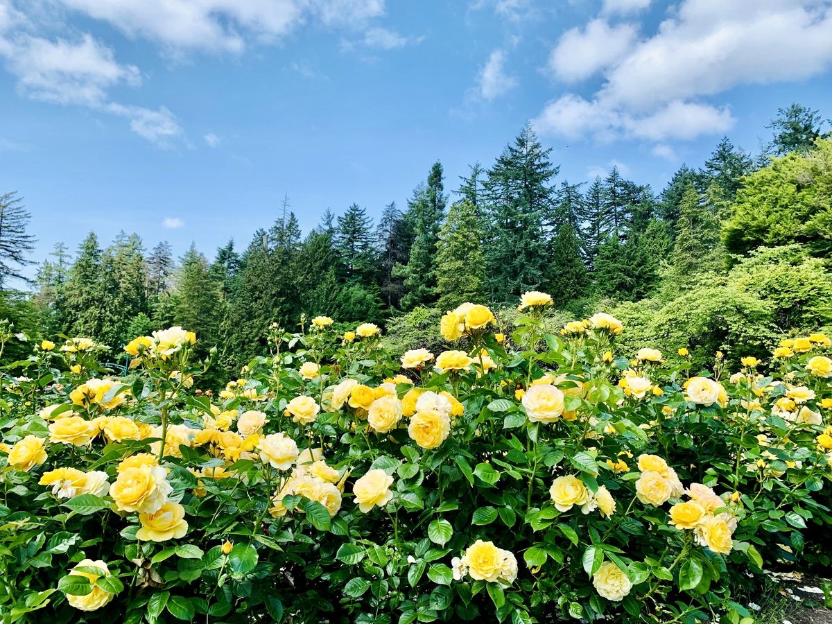 Tử vi vòng quay công nghệ ngày 24/10/2025: Tuổi Mão trở nên sĩ diện, tuổi Dậu gặp điều thuận lợi