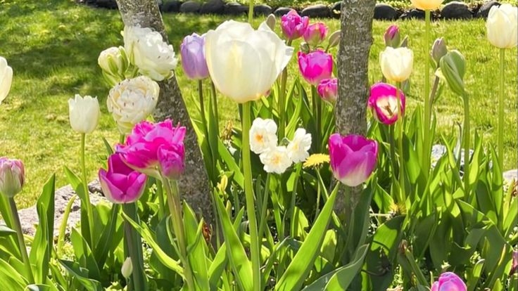 Tử vi vòng quay công nghệ ngày 25/10/2025: Tuổi Dần tình cảm tốt đẹp, tuổi Mão có phần sa sút Tử vi vòng quay công nghệ ngày 25/10/2025: Tuổi Dần tình cảm tốt đẹp, tuổi Mão có phần sa sút