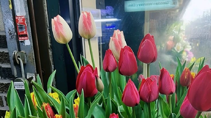 Tử vi vòng quay công nghệ ngày 25/10/2025: Tuổi Dần tình cảm tốt đẹp, tuổi Mão có phần sa sút Tử vi vòng quay công nghệ ngày 25/10/2025: Tuổi Dần tình cảm tốt đẹp, tuổi Mão có phần sa sút