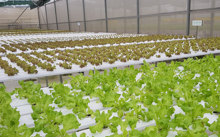 Bộ NNMT nêu hàng trăm nhiệm vụ triển khai Kế hoạch quốc gia thích ứng biến đổi khí hậu Bộ NNMT nêu hàng trăm nhiệm vụ triển khai Kế hoạch quốc gia thích ứng biến đổi khí hậu