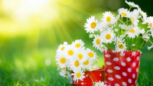 Tử vi vòng quay công nghệ ngày 28/10/2025: Tuổi Tý có nhiều biến động, tuổi Dần chịu ảnh hưởng mạnh