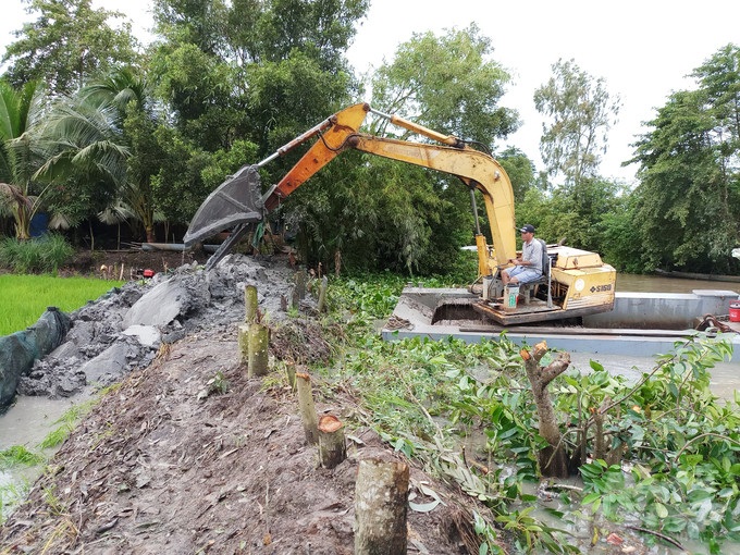 Rà soát, gia cố các tuyến đê bao ứng phó triều cường, nguy cơ sạt lở Rà soát, gia cố các tuyến đê bao ứng phó triều cường, nguy cơ sạt lở