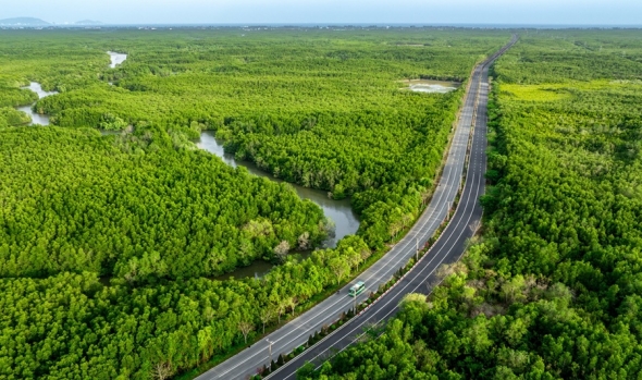 Nâng cao hiệu quả quản lý, bảo vệ rừng phòng hộ, đặc dụng