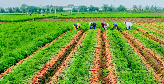 Phát triển tổng thể ‘đại thủy nông’ phục vụ đa mục tiêu