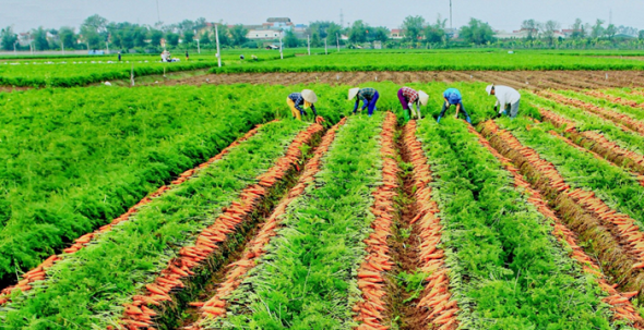 Phát triển tổng thể ‘đại thủy nông’ phục vụ đa mục tiêu