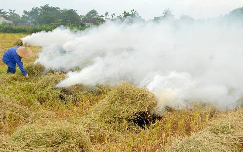 Tăng cường kiểm soát, chấm dứt tình trạng đốt rơm rạ, chất thải Tăng cường kiểm soát, chấm dứt tình trạng đốt rơm rạ, chất thải