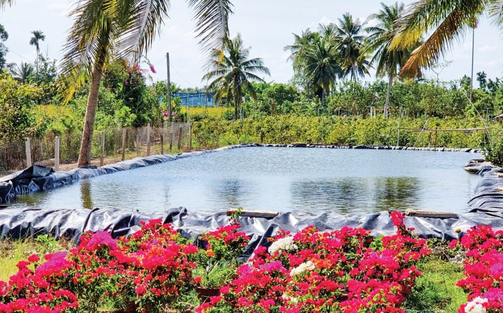 Chủ động trữ nước từ sớm, điều chỉnh thời vụ sản xuất