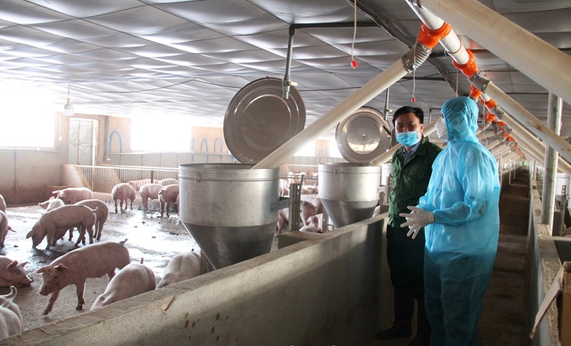 Kiểm soát nguy cơ ô nhiễm môi trường từ hoạt động chăn nuôi