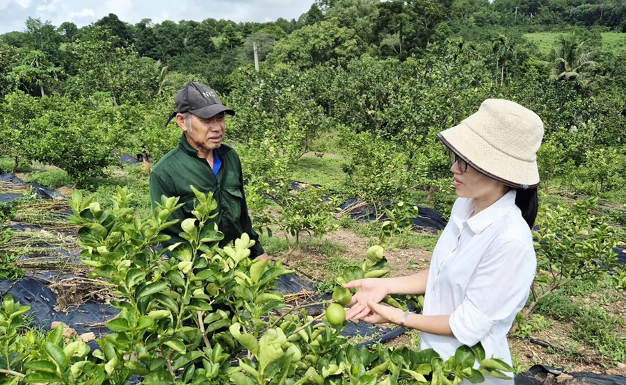 Tái cơ cấu nông nghiệp tạo động lực tăng trưởng kinh tế