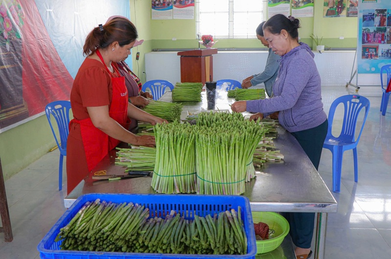 Kiểm soát chất lượng nông sản từ các vùng sản xuất an toàn