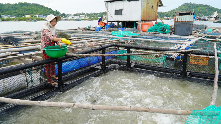 Tăng cường công tác quản lý, bảo đảm an ninh nguồn nước