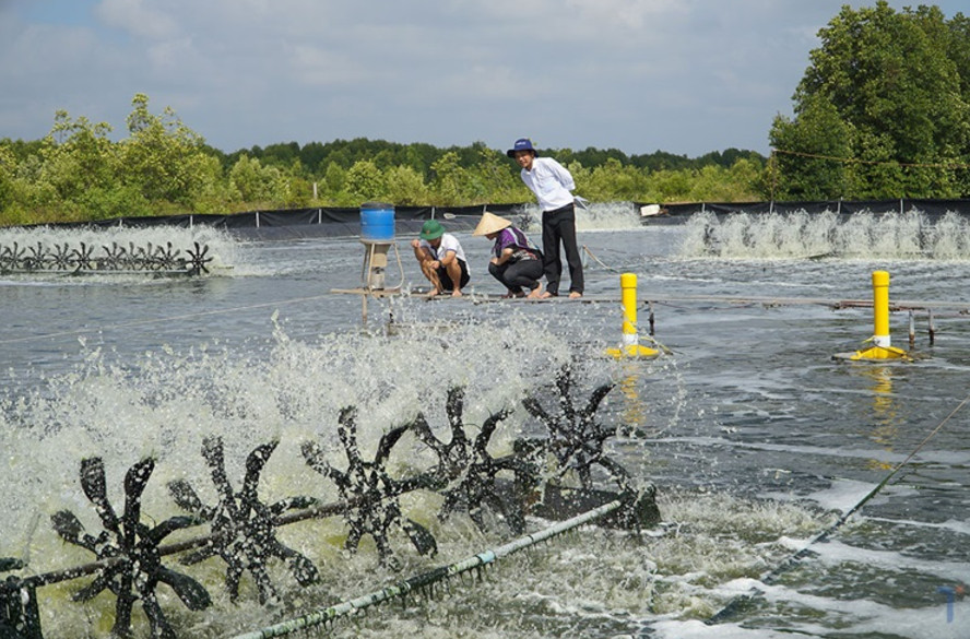 Chuyển đổi năng lượng tái tạo, bảo vệ môi trường vùng đồng bằng sông Củu Long Chuyển đổi năng lượng tái tạo, bảo vệ môi trường vùng đồng bằng sông Củu Long