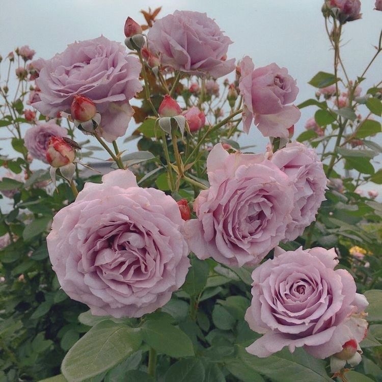 Tử vi vòng quay công nghệ ngày 23/11/2024: Tuổi Mùi công việc phát triển, tuổi Dần khó khăn ập tới Tử vi vòng quay công nghệ ngày 23/11/2024: Tuổi Mùi công việc phát triển, tuổi Dần khó khăn ập tới