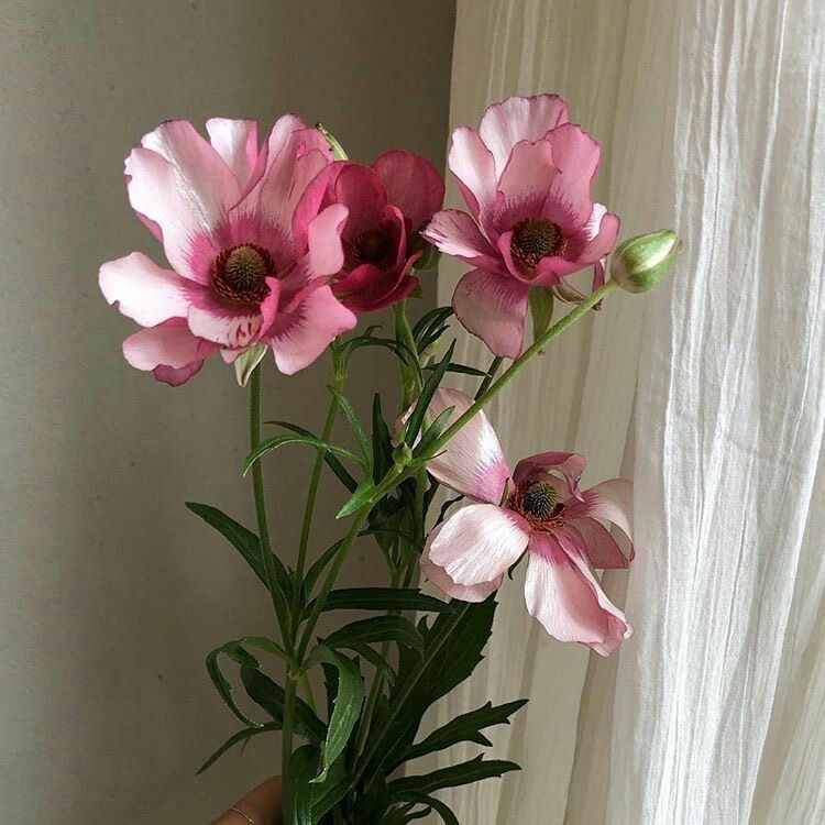 Tử vi vòng quay công nghệ ngày 24/11/2024: Tuổi Tỵ tiền bạc dư dả, tuổi Tuất khó hoàn thành những mục tiêu Tử vi vòng quay công nghệ ngày 24/11/2024: Tuổi Tỵ tiền bạc dư dả, tuổi Tuất khó hoàn thành những mục tiêu