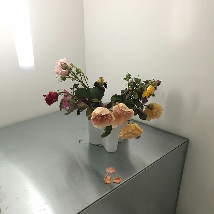 Tử vi vòng quay công nghệ ngày 26/11/2024: Tuổi Dần tiền bạc rủng rỉnh, tuổi Thìn tổn thương tình cảm Tử vi vòng quay công nghệ ngày 26/11/2024: Tuổi Dần tiền bạc rủng rỉnh, tuổi Thìn tổn thương tình cảm