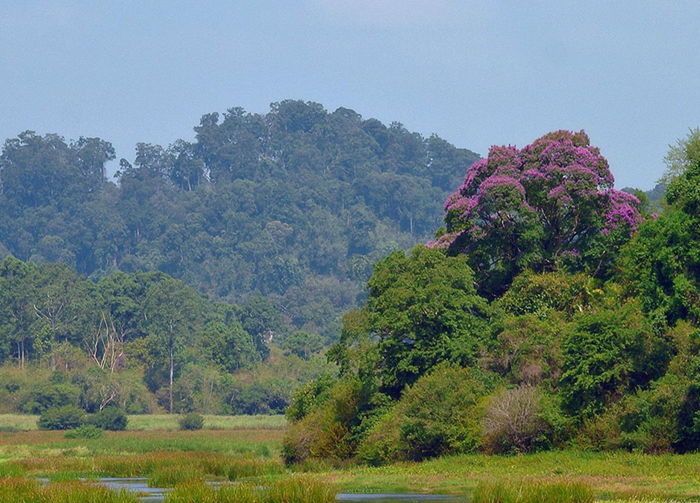 Thêm dấu ấn của Việt Nam trên bản đồ du lịch sinh thái quốc tế