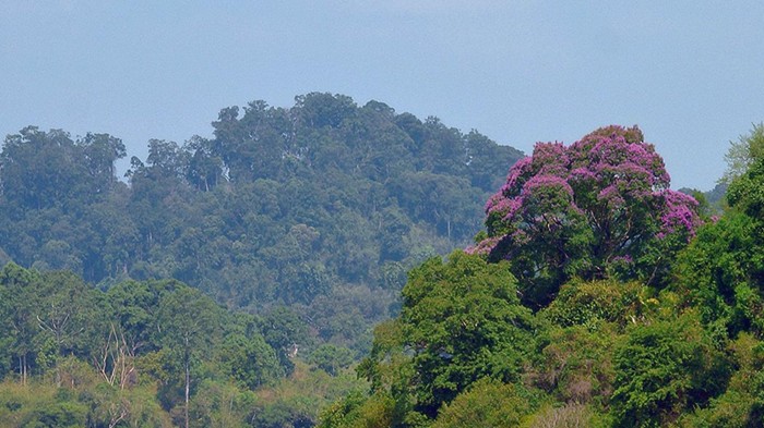 Thêm dấu ấn của Việt Nam trên bản đồ du lịch sinh thái quốc tế