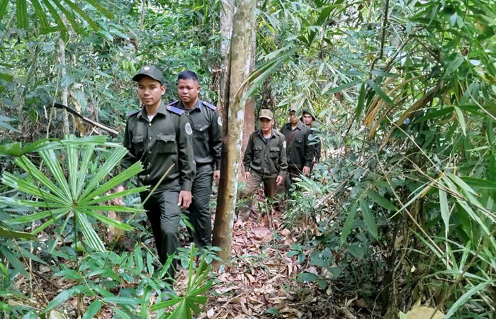 Thái Nguyên tăng cường bảo vệ diện tích rừng đặc dụng