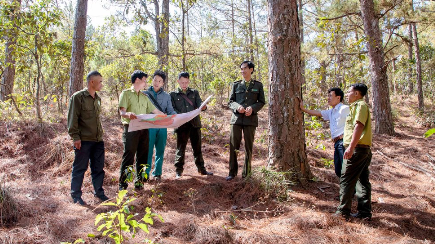 Thái Nguyên tăng cường bảo vệ diện tích rừng đặc dụng