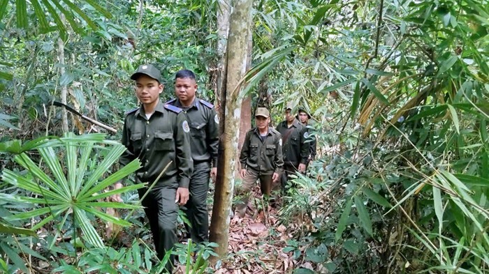 Thái Nguyên tăng cường bảo vệ diện tích rừng đặc dụng