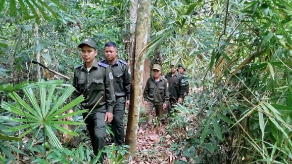 Thái Nguyên tăng cường bảo vệ diện tích rừng đặc dụng