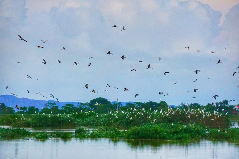 Ninh Bình: Người dân chung tay bảo vệ các loài chim hoang dã, chim di cư Ninh Bình: Người dân chung tay bảo vệ các loài chim hoang dã, chim di cư