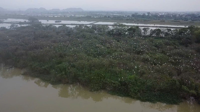 Ninh Bình: Người dân chung tay bảo vệ các loài chim hoang dã, chim di cư Ninh Bình: Người dân chung tay bảo vệ các loài chim hoang dã, chim di cư