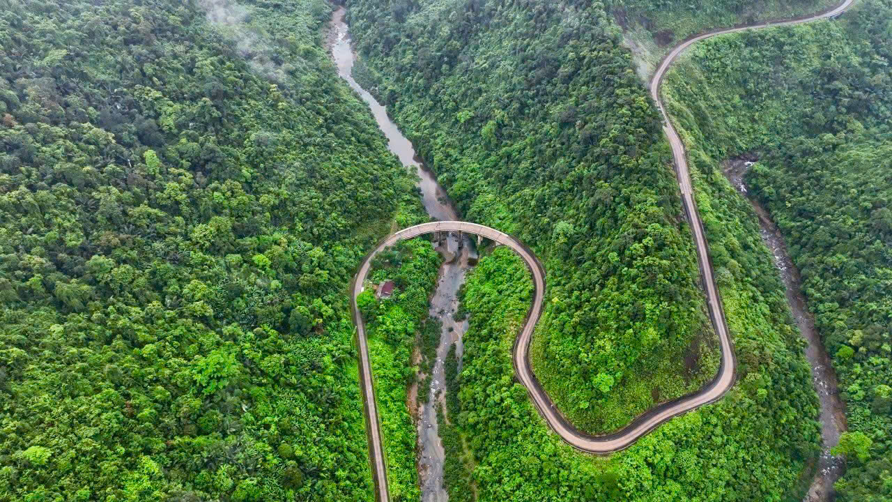 Quảng Trị: Phê duyệt khoản viện trợ kinh phí phục hồi động vật hoang dã Quảng Trị: Phê duyệt khoản viện trợ kinh phí phục hồi động vật hoang dã