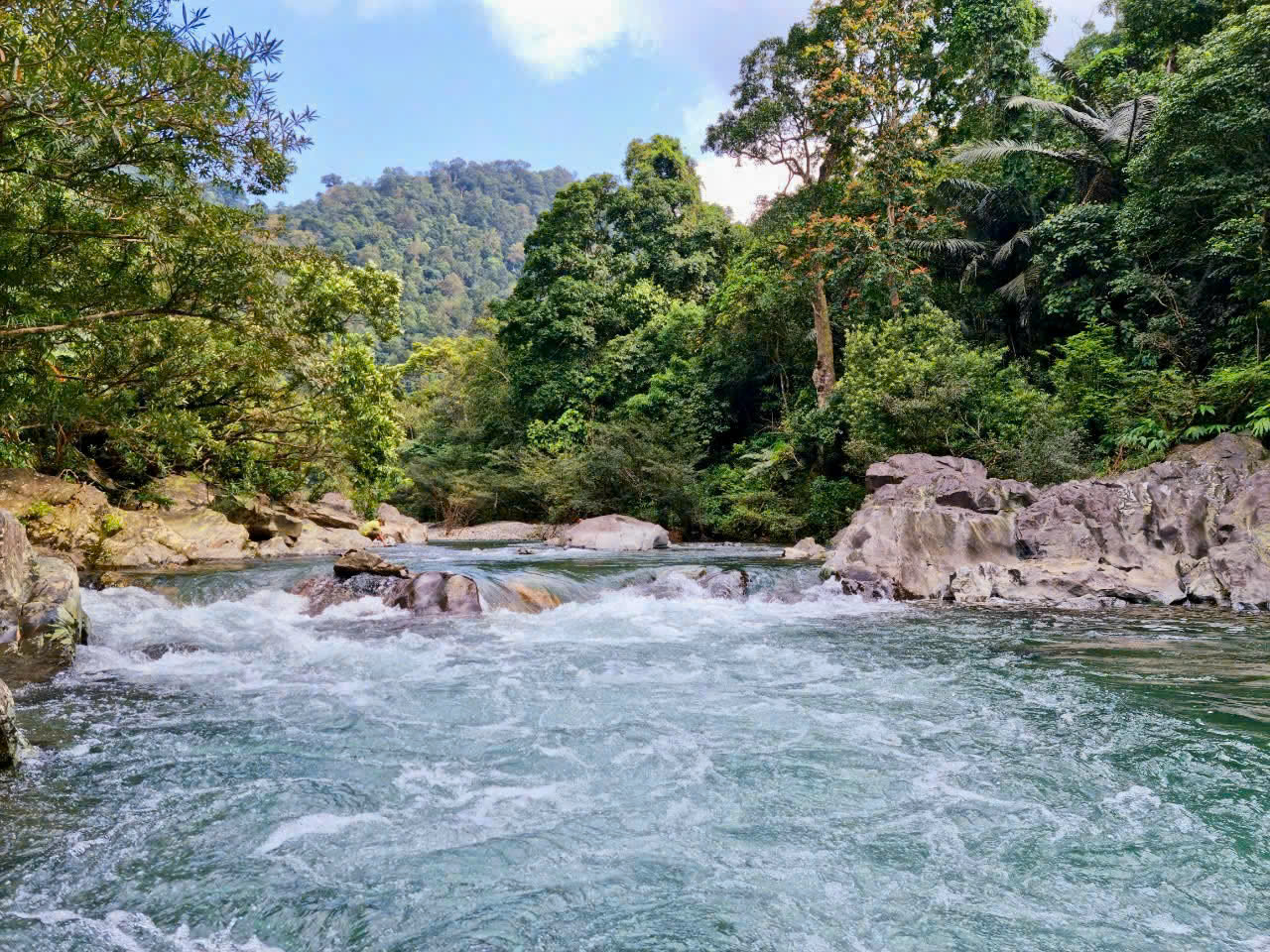 Quảng Trị: Phê duyệt khoản viện trợ kinh phí phục hồi động vật hoang dã Quảng Trị: Phê duyệt khoản viện trợ kinh phí phục hồi động vật hoang dã