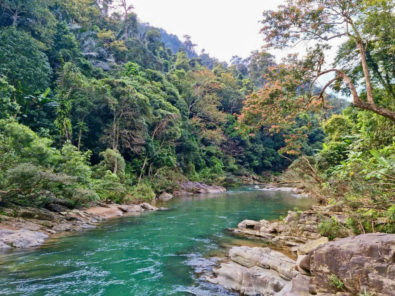 Quảng Trị: Phê duyệt khoản viện trợ kinh phí phục hồi động vật hoang dã Quảng Trị: Phê duyệt khoản viện trợ kinh phí phục hồi động vật hoang dã
