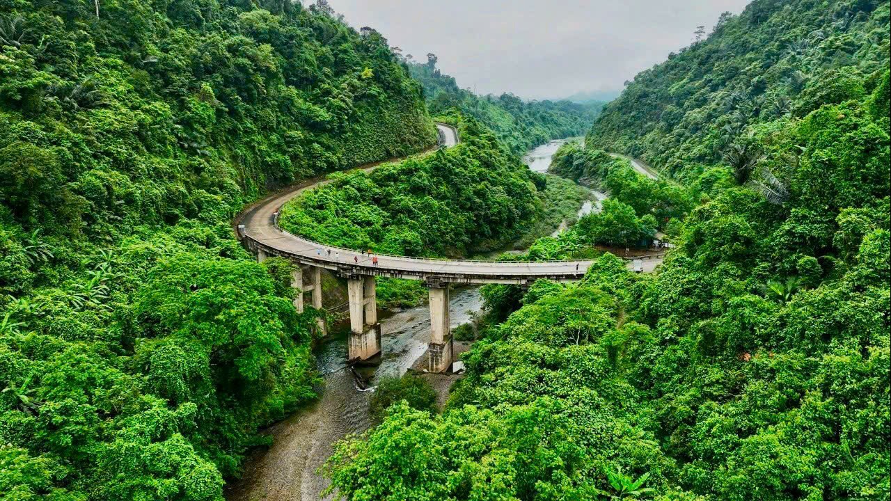 Quảng Trị: Phê duyệt khoản viện trợ kinh phí phục hồi động vật hoang dã