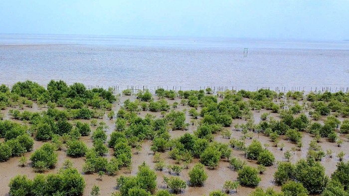 Thể chế, chính sách tạo đột phá trong ứng phó biến đổi khí hậu