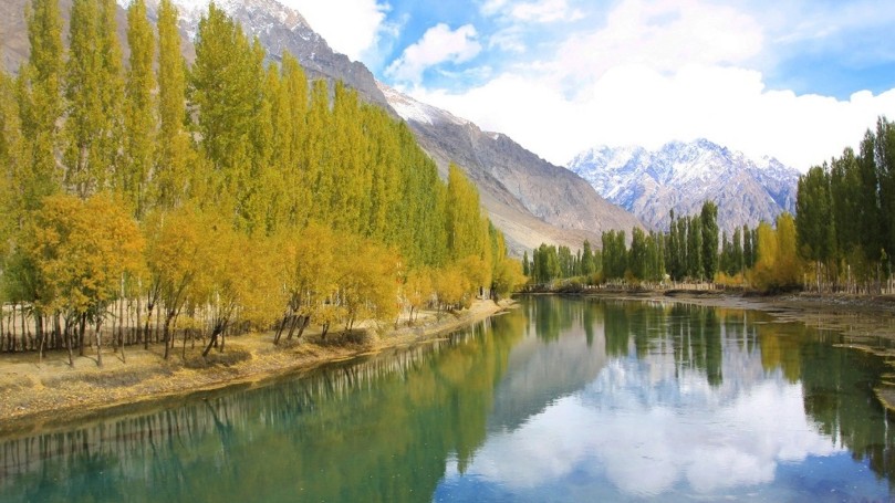 Pakistan khai thác rừng ven sông, tạo nguồn thu từ tín chỉ carbon xanh